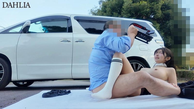 DLDSS-491 screenshot 5 [Blue Sky Project Unveiled] Outdoor Filming of Big-Breasted Exposure Car Sex - Mami Zenba